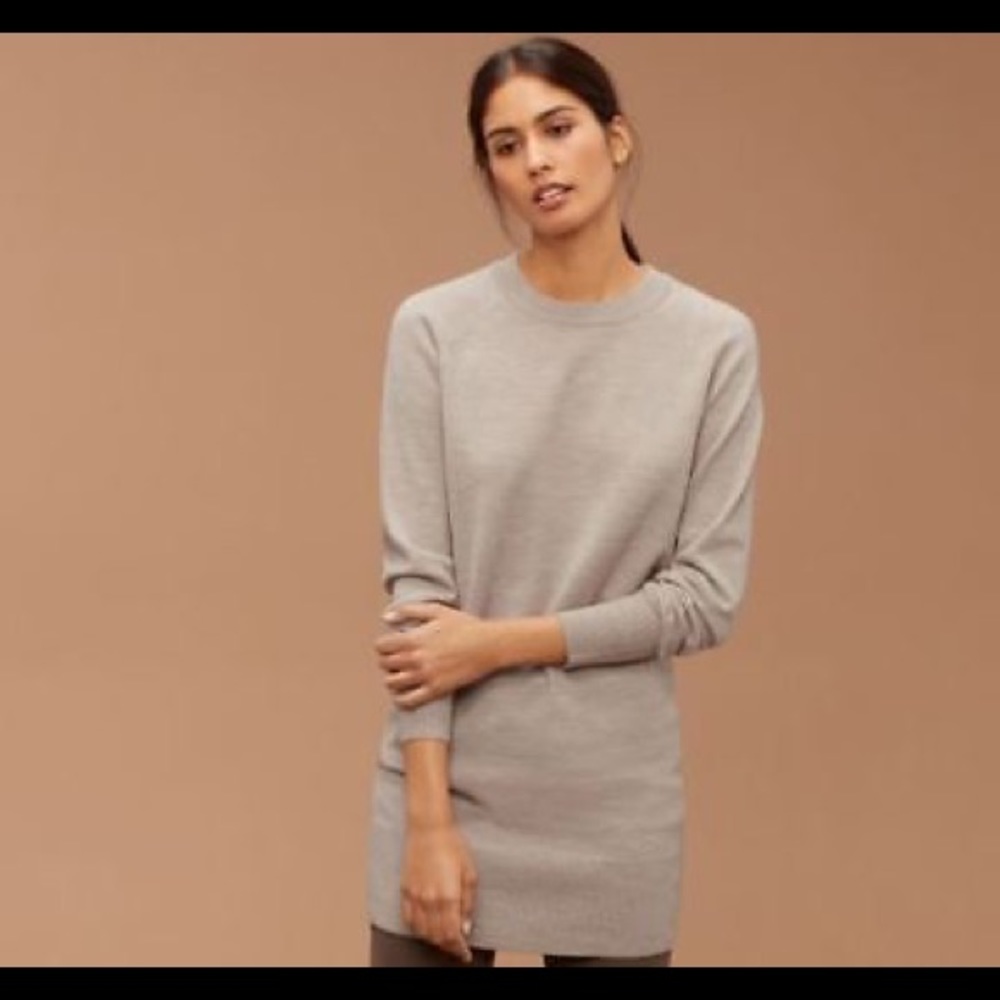 Aritzia Sweatshirt Dress